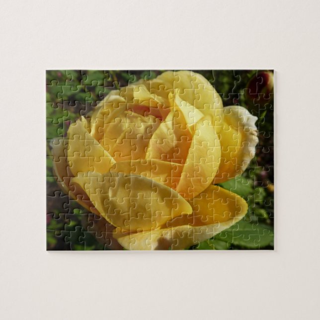 Yellow English Rose Jigsaw Puzzle (Horizontal)