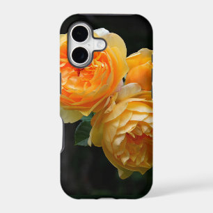 Yellow English Roses