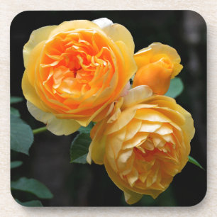 Yellow English Roses Coaster