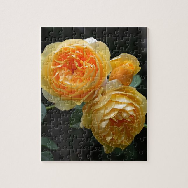 Yellow English Roses Jigsaw Puzzle (Vertical)