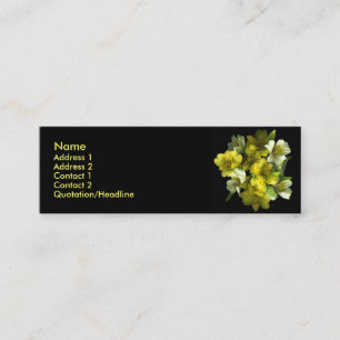 Yellow Explosion Profile Cards
