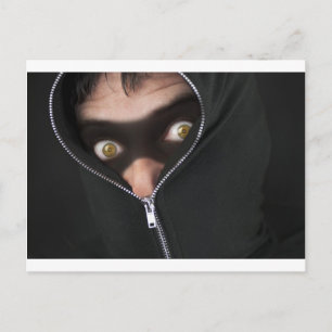 Yellow-Eyed Bandit Postcard