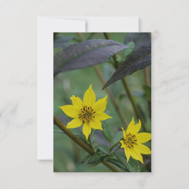 Yellow Fall Flower Card (Front)