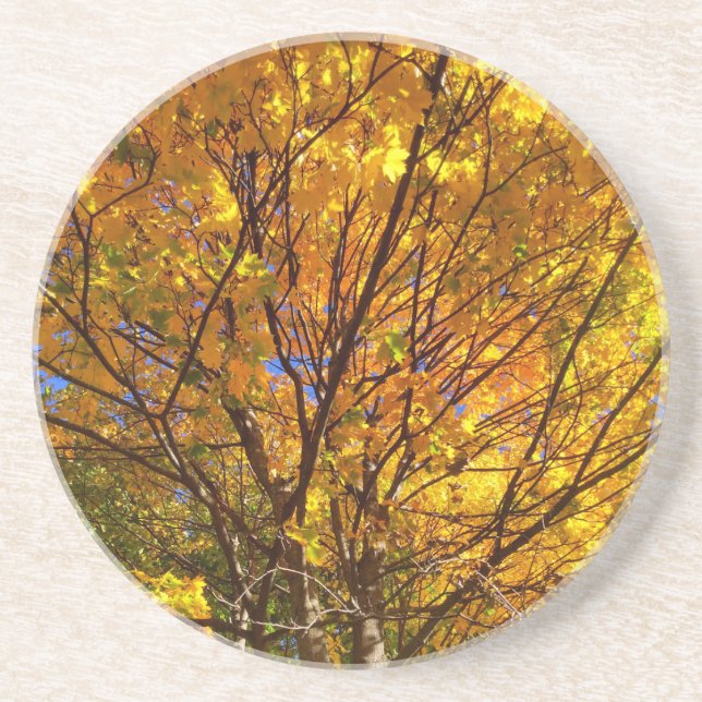 Yellow Fall Foliage Coaster (Front)