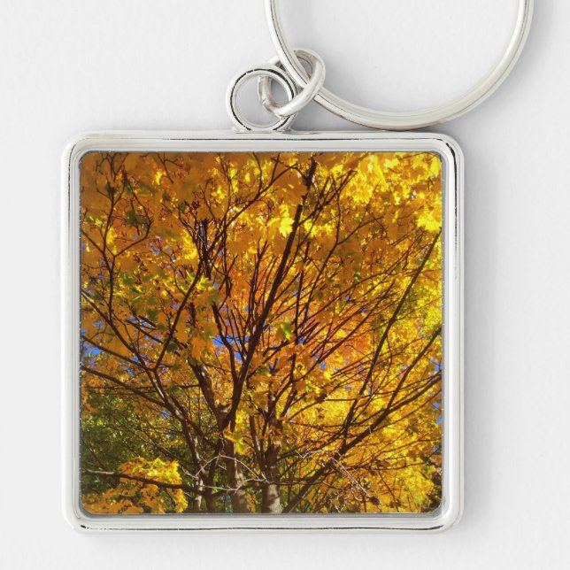 Yellow Fall Foliage Key Ring (Front)