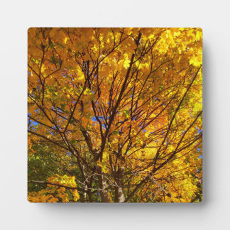 Yellow Fall Foliage Plaque