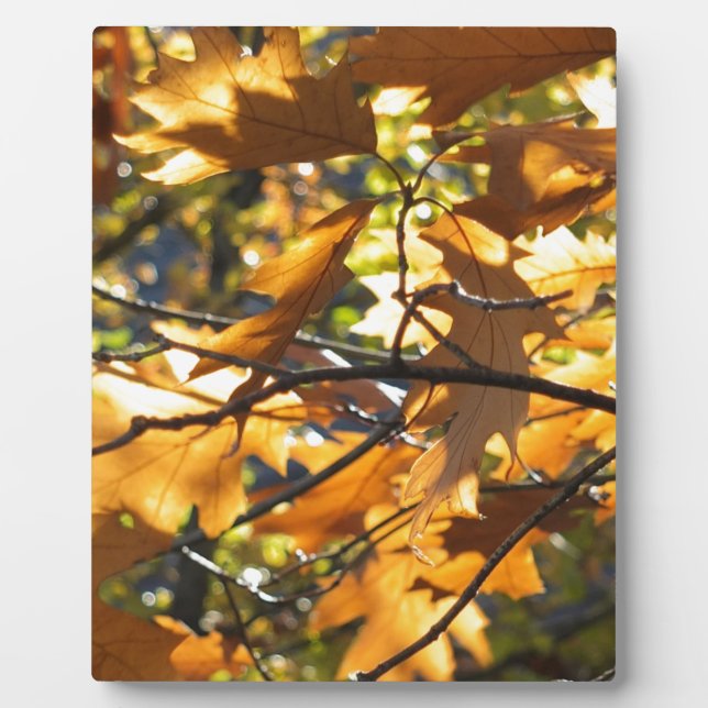 Yellow Fall Plaque (Front)