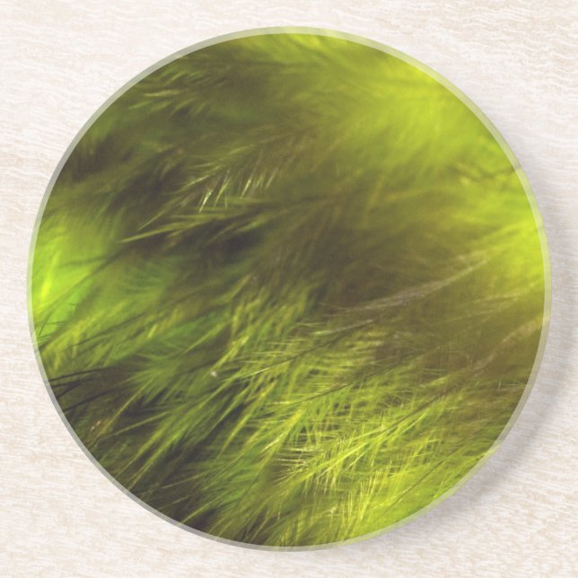 Yellow Feathers Coaster (Front)