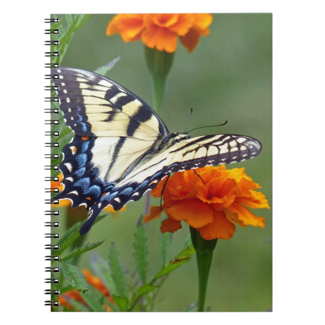 Yellow female Eastern Tiger Swallowtail Spiral Notebook (Front)