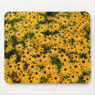 Yellow Field of Daisies - Daisy Mousepad