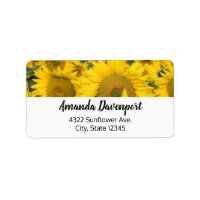 Yellow Field of Sunflowers Photograph