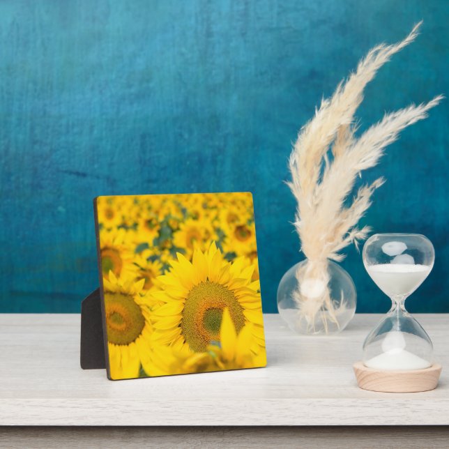 Yellow Field of Sunflowers Photograph Plaque (Insitu)