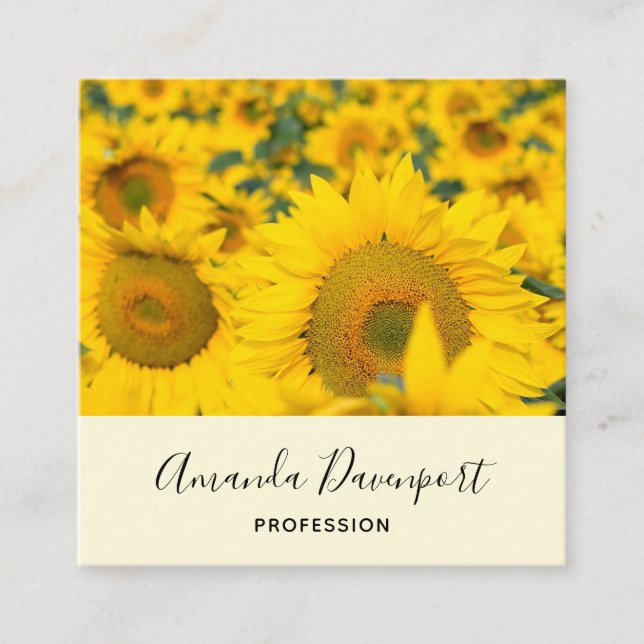 Yellow Field of Sunflowers Photograph Square Business Card (Front)