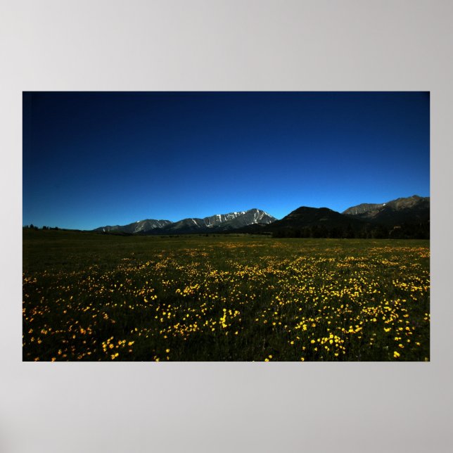 Yellow Fields Poster (Front)