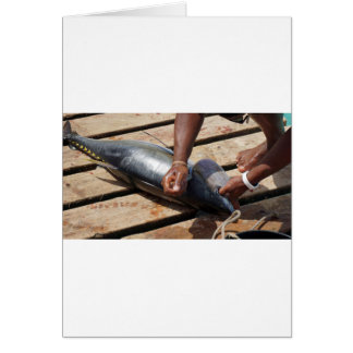 yellow fins tuna