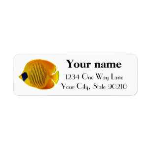 Yellow Fish