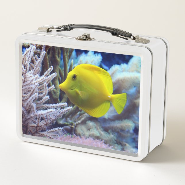Yellow Fish Metal Lunch Box (Front)
