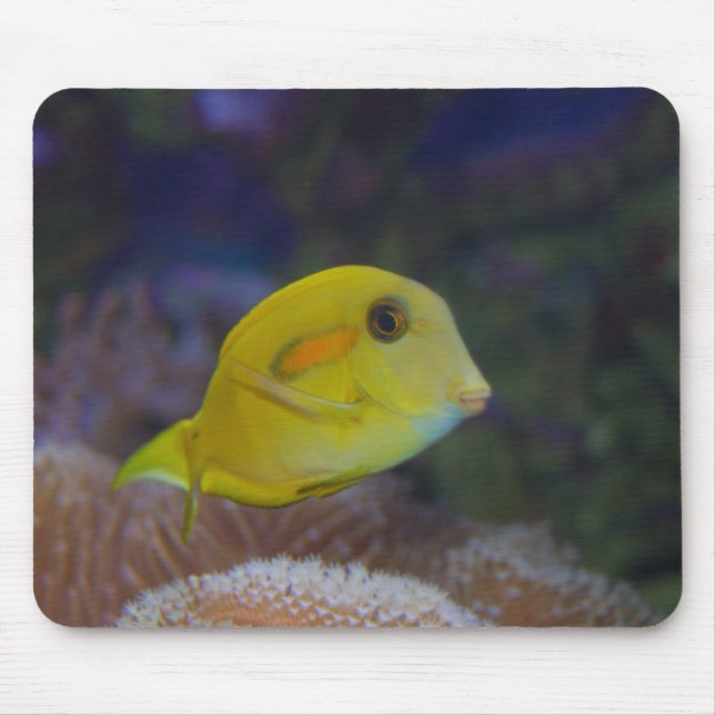 Yellow Fishy Mouse Pad (Front)
