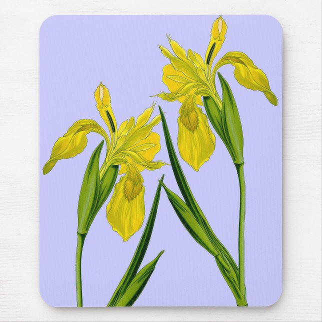 Yellow Flag Iris Twins Mousepad (Front)