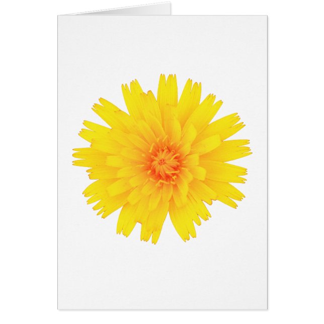 Yellow Flower (Front)