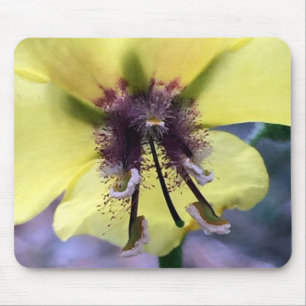 Yellow Flower 3 Mouse Pad