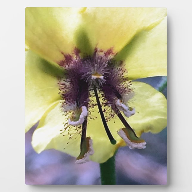 Yellow Flower 3 Plaque (Front)
