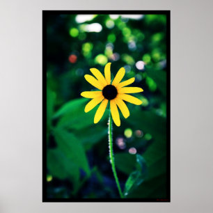 Yellow Flower #5033 Poster