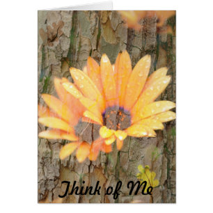 Yellow Flower Bark Think of Me