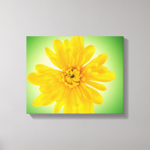 Yellow flower canvas print