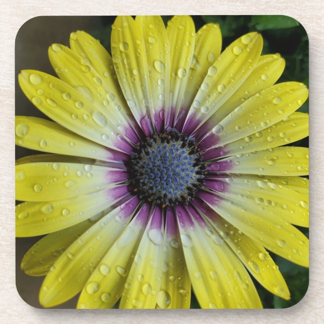 Yellow flower coaster (Front)
