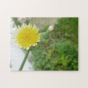 Yellow flower daisy weed jigsaw puzzle