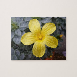 Yellow Flower Jigsaw Puzzle