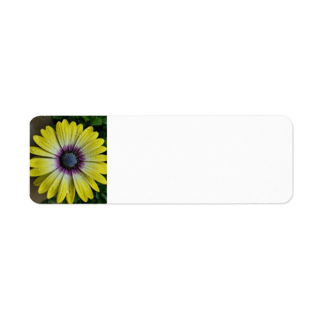 Yellow flower label (Front)