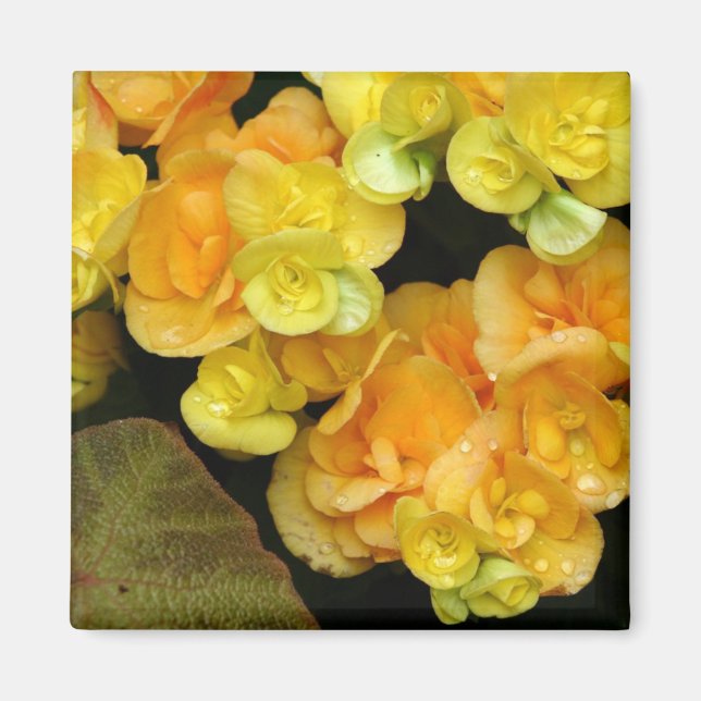 yellow flower magnet (Front)