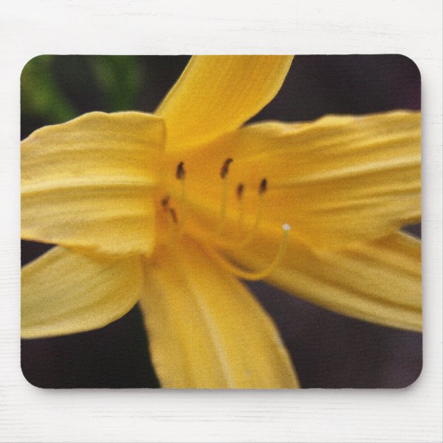 yellow flower mouse pad (Front)