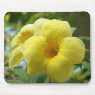 Yellow Flower ~ Mousepad