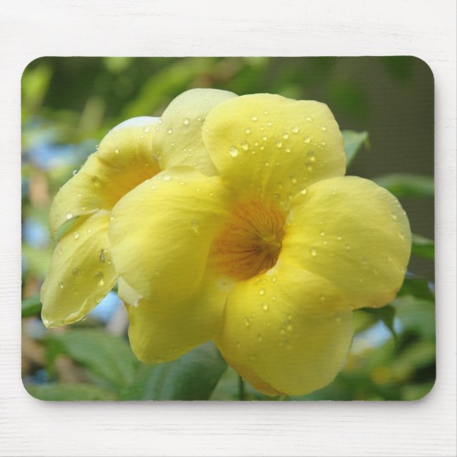 Yellow Flower ~ Mousepad (Front)