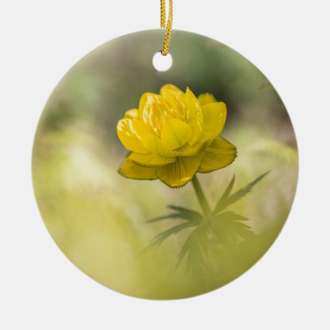 Yellow Flower Nature Photo Ceramic Tree Decoration (Front)