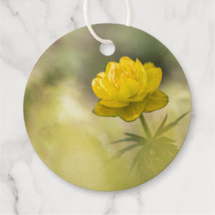 Yellow Flower Nature Photo Favour Tags