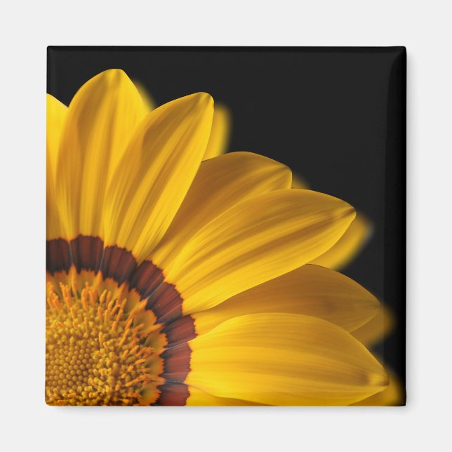 Yellow flower on  black background magnet (Front)