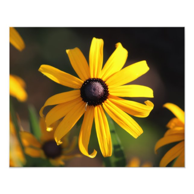 yellow flower photo print (Front)