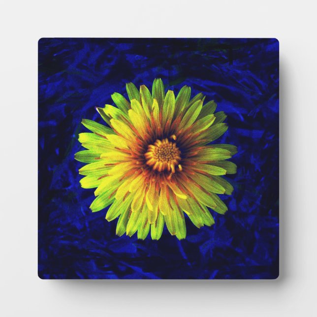 Yellow flower plaque (Front)
