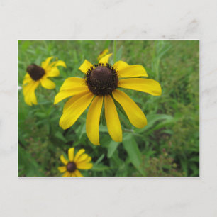Yellow Flower Postcard