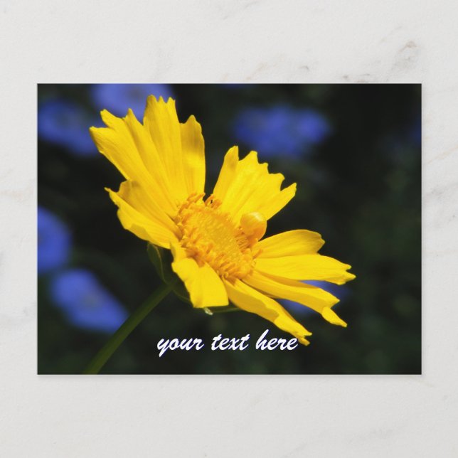 Yellow Flower Postcard (Front)