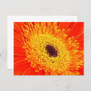 Yellow flower postcard