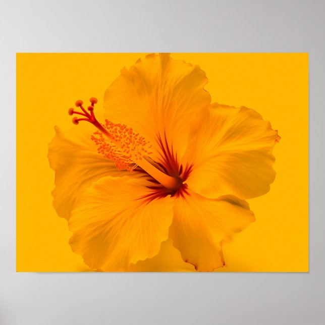 Yellow Flower Poster (Front)