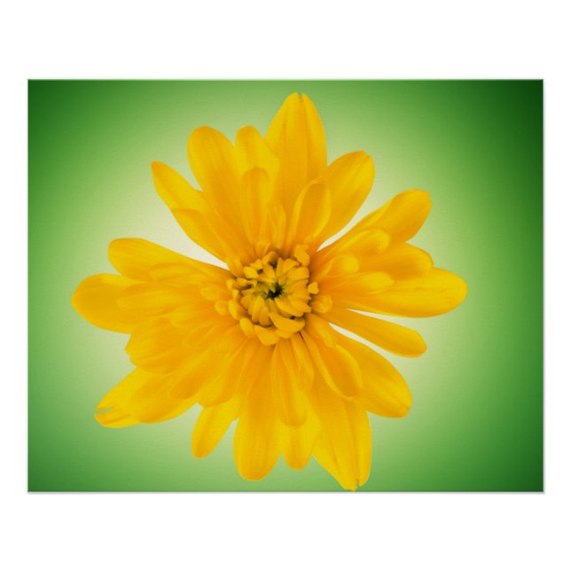 Yellow flower poster (Front)