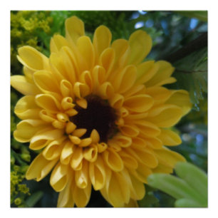 Yellow Flower Poster Print