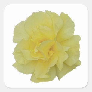 Yellow Flower Stickers