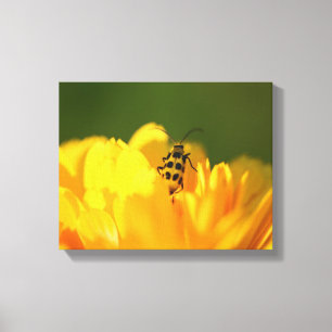 Yellow flower Wrapped Canvas